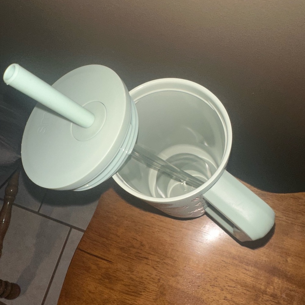 Mint Green Tumbler with Straw